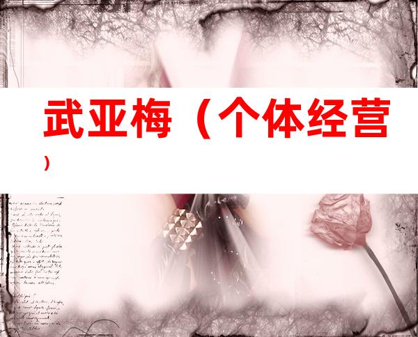 武亚梅（个体经营）